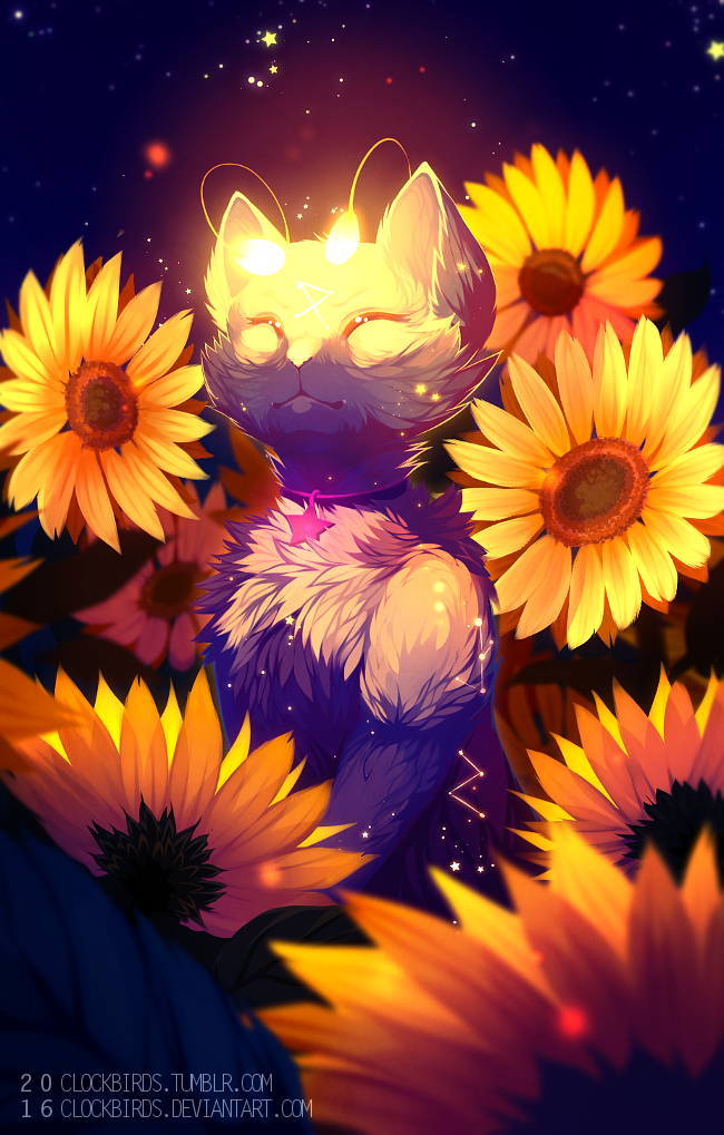 2016 aisha_(neopets) ambiguous_gender antennae cat clockbirds collar constellation detailed_background eyes_closed feline feral fur glowing_antenna mammal neopets night outside portrait sitting solo sunflowers white_fur