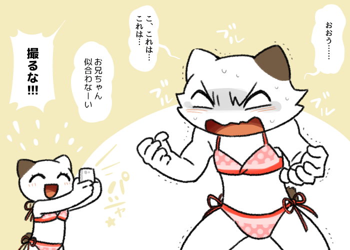 anthro bikini blush brother brother_and_sister cat clothed clothing crossdressing duo feline female japanese_text komeko-nk male mammal phone sibling sister swimsuit text translation_request