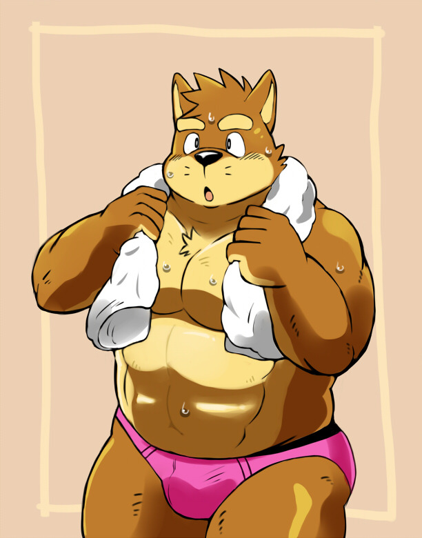2017 5_fingers anthro butt canine chest_tuft clothed clothing dog kenta kenta_shiba_(character) male mammal muscular muscular_male pink_underwear shiba-kenta shiba_inu simple_background skimpy solo standing sweat topless towel tuft underwear
