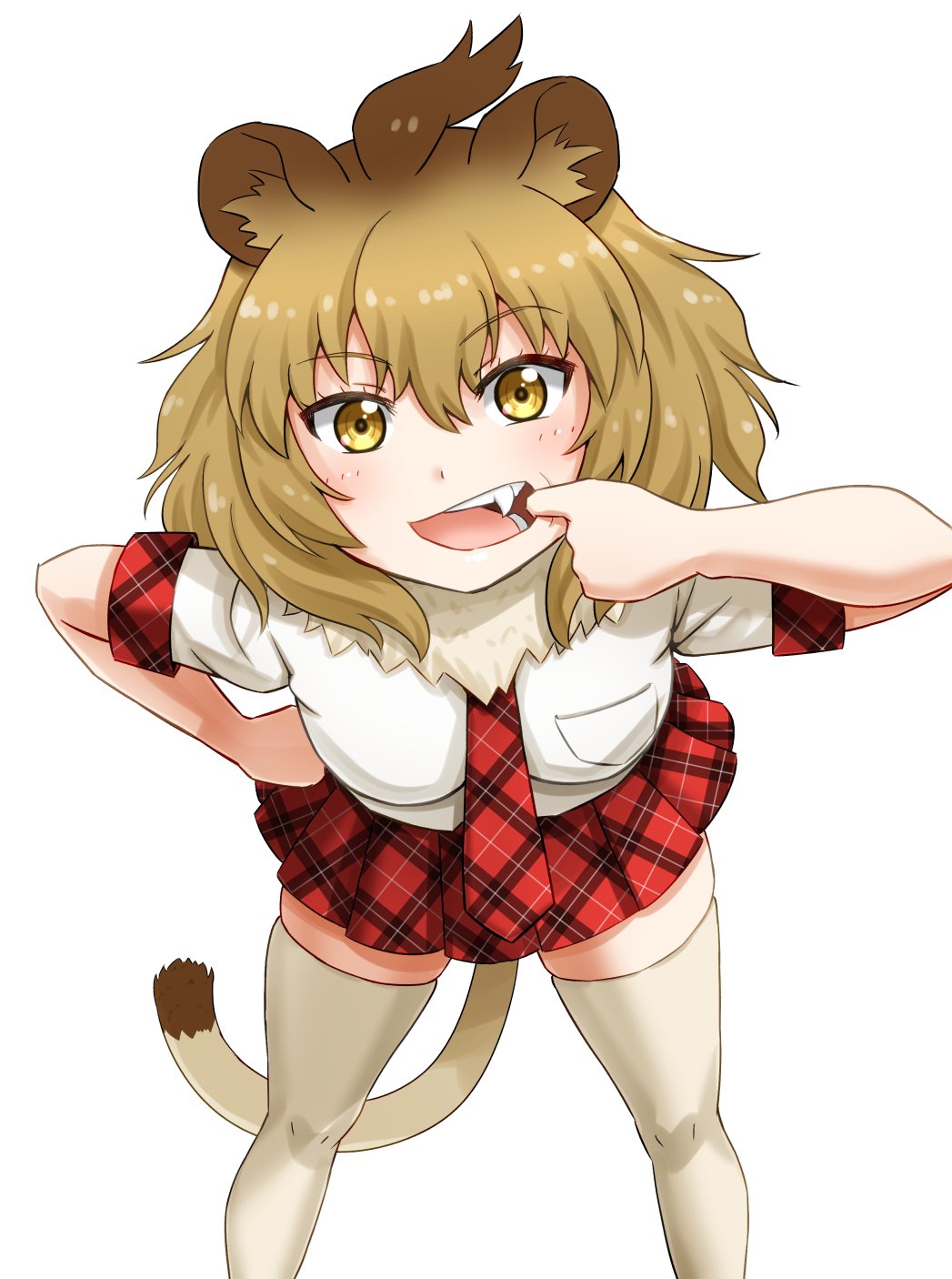 animal_ears bangs bent_over blush breasts brown_hair eyebrows eyebrows_visible_through_hair fang finger_in_mouth fur_collar gradient_hair hair_between_eyes hand_on_hip highres kemono_friends legs_apart light_brown_hair lion_(kemono_friends) lion_ears lion_tail looking_at_viewer miniskirt multicolored_hair necktie plaid plaid_skirt pleated_skirt pocket red_neckwear red_skirt shirt short_hair short_sleeves simple_background skindentation skirt small_breasts solo standing tail takatsuki_nao tan_legwear teeth thighhighs tongue tsurime two-tone_hair white_background white_shirt yellow_eyes zettai_ryouiki