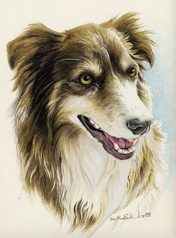2004 amber_eyes ambiguous_gender black_nose brown_fur canine collie countershading dog feral fur mammal novawuff open_mouth portrait sharp_teeth simple_background solo teeth tongue traditional_media_(artwork) white_background white_countershading