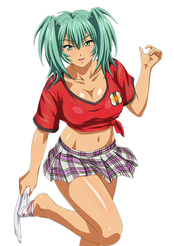 ikkitousen ryofu_housen tagme