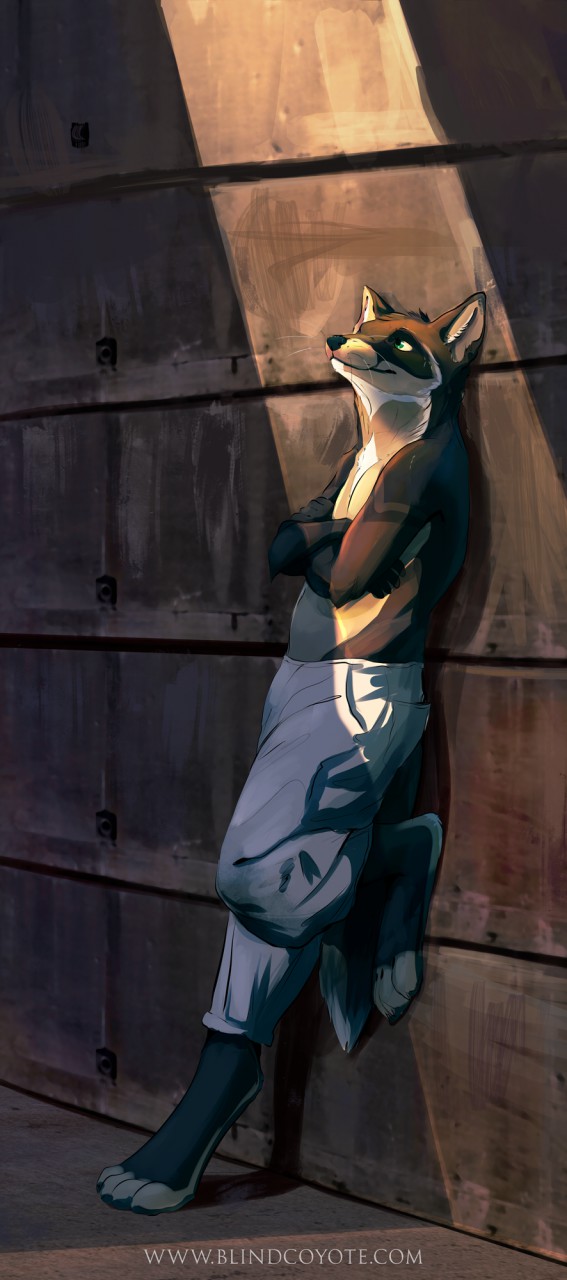 against_wall anthro blindcoyote clothed clothing crossed_arms digitigrade facial_markings green_eyes looking_up mammal markings on_one_leg one_leg_up pants procyonid raccoon shadow solo standing sunlight whiskers