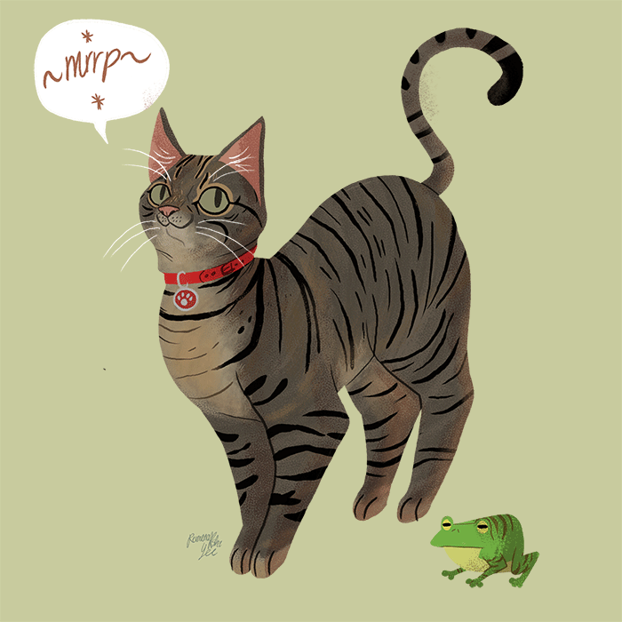 ambiguous_gender amphibian black_stripes cat collar collar_tag domestic_cat duo feline feral frog fur green_background green_body green_eyes grey_fur mammal reimena simple_background standing stripes tabby