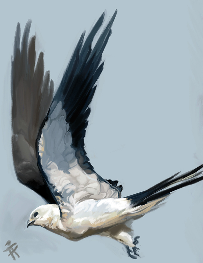 2014 alradeck avian beak bird black_hair digital_media_(artwork) feathered_wings feathers grey_beak hair simple_background wings