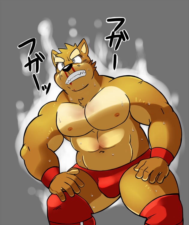 anthro big_muscles blood bulge canine clothed clothing dog japanese_text kenta_shiba_(character) male mammal muscular muscular_male shiba-kenta shiba_inu solo text topless wounded wrestling_briefs
