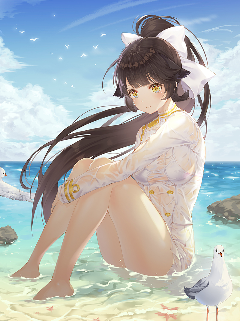 azur_lane bad_id bad_pixiv_id bangs bare_legs barefoot beach bird black_hair blue_sky blunt_bangs blush bow breasts casual_one-piece_swimsuit closed_mouth cloud day eyebrows_visible_through_hair floating_hair from_side full_body hair_bow hair_flaps high_ponytail horizon jacket large_breasts leg_hug legs long_hair long_sleeves looking_at_viewer looking_to_the_side mellozzo military military_jacket military_uniform ocean one-piece_swimsuit outdoors ponytail rock sand seagull see-through shiny shiny_hair sidelocks sitting sky smile solo starfish swimsuit swimsuit_under_clothes takao_(azur_lane) uniform very_long_hair wet wet_clothes wet_jacket white_bow white_jacket white_swimsuit yellow_eyes
