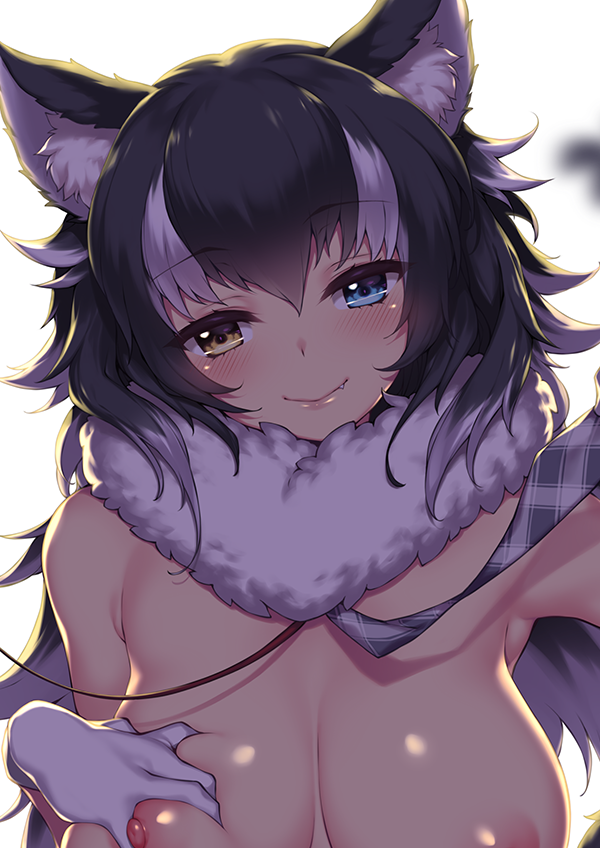 animal_ear_fluff animal_ears backlighting bare_shoulders black_hair blue_eyes blush breast_hold breasts eyebrows_visible_through_hair fang fur_collar fuya_(tempupupu) gloves grey_wolf_(kemono_friends) hair_between_eyes half-closed_eyes heterochromia kemono_friends large_breasts leash long_hair looking_at_viewer multicolored_hair necktie nipples plaid_neckwear smile solo two-tone_hair upper_body white_background white_gloves white_hair wolf_ears wolf_girl yellow_eyes