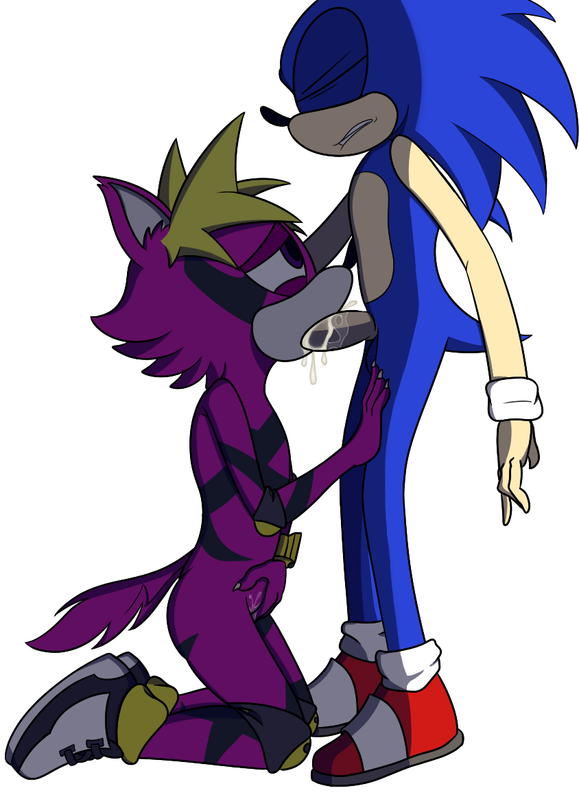 2018 canine cum fan_(character) fellatio female hedgehog male male/female mammal oral sex simple_background sonic_(series) sonic_forces sonic_the_hedgehog white_background wolf