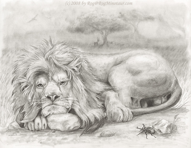 2008 arthropod balls beetle detailed_background feline feral greyscale insect lion looking_at_viewer lying male mammal mane monochrome outside pencil_(artwork) quadruped rock rog_minotaur savanna solo traditional_media_(artwork) tree whiskers