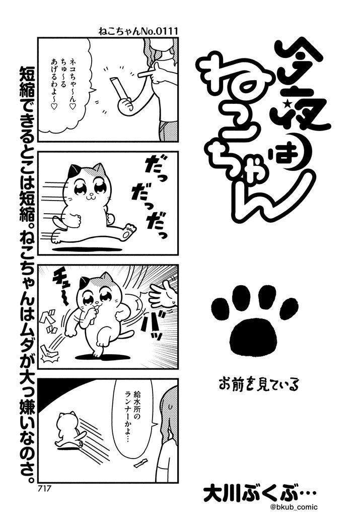 4koma :3 artist_name biting bkub cat cat_focus cat_paws comic dashing fleeing greyscale halftone kon'ya_wa_neko-chan long_hair monochrome motion_lines pants paws shirt simple_background speech_bubble sweatdrop talking the_elder_scrolls the_elder_scrolls_v:_skyrim throwing translated two-tone_background