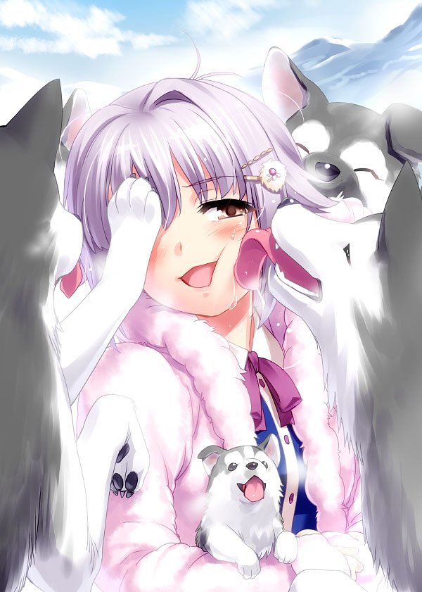 animal blush bow bowtie brown_eyes cheek_licking coat commentary_request dog eyebrows_visible_through_hair face_licking hair_ornament hairclip husky idolmaster idolmaster_cinderella_girls koshimizu_sachiko lavender_hair licking open_mouth puppy short_hair solo upper_body winter_clothes winter_coat zen