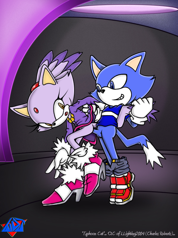 blaze_the_cat sonic_team tagme wdj