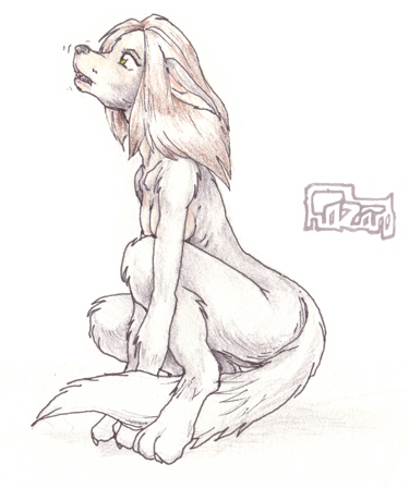 2003 anthro breasts brown_hair canine crouching female hair hazard mammal nude simple_background solo tail_between_legs transformation white_background wolf