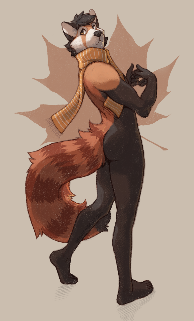 anthro butt_pose full_portrait looking_back male mammal mostly_nude rear_view red_panda requiembeatz scarf solo standing zag_(zaggy)