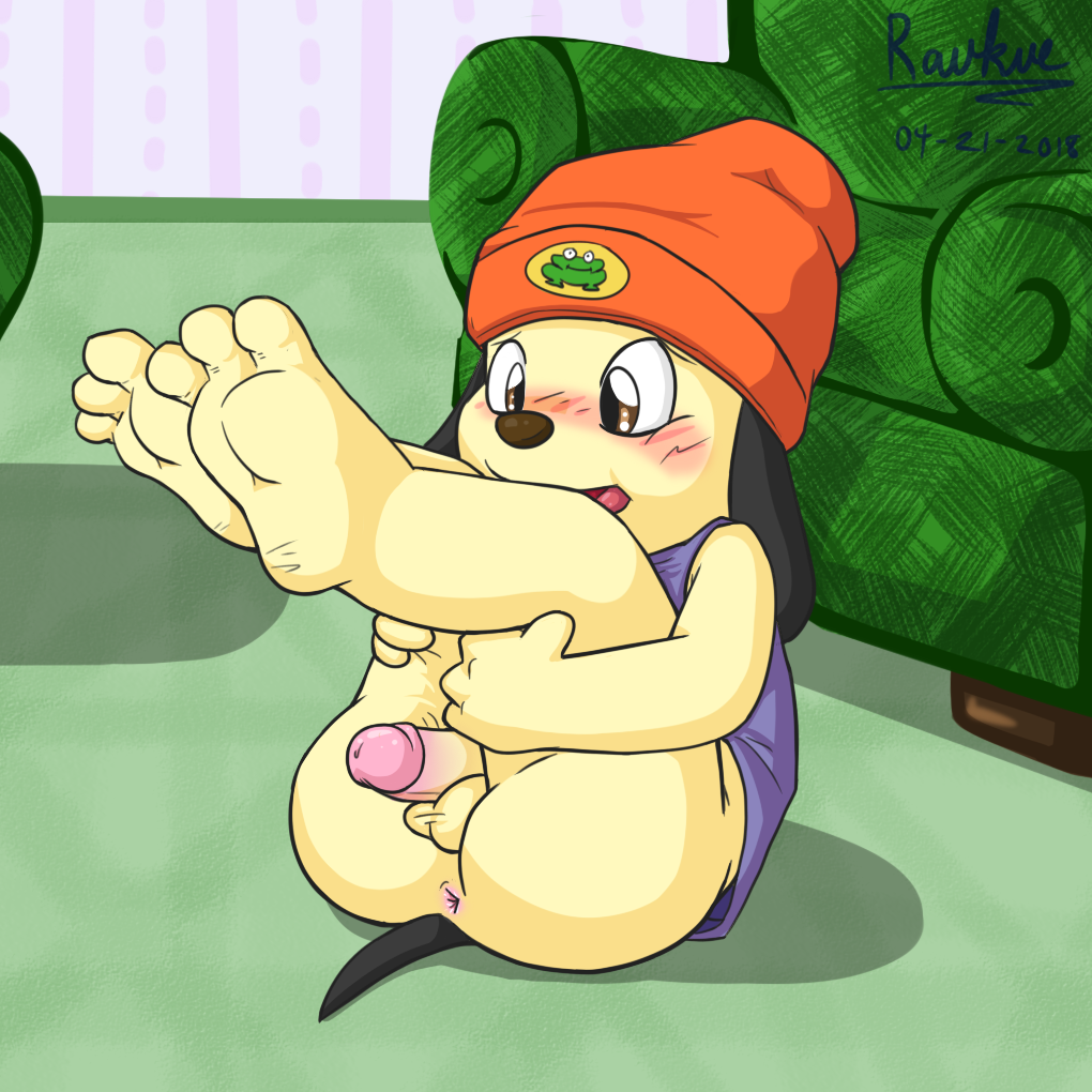 2018 4_fingers amphibian anthro anus balls beanie blush butt canine clothed clothing cub digital_media_(artwork) dog embarrassed feet frog hat humanoid_penis inside invalid_tag male mammal open_mouth parappa parappa_the_rapper partially_clothed penis presenting raukue shirt solo tank_top toes tongue video_games young