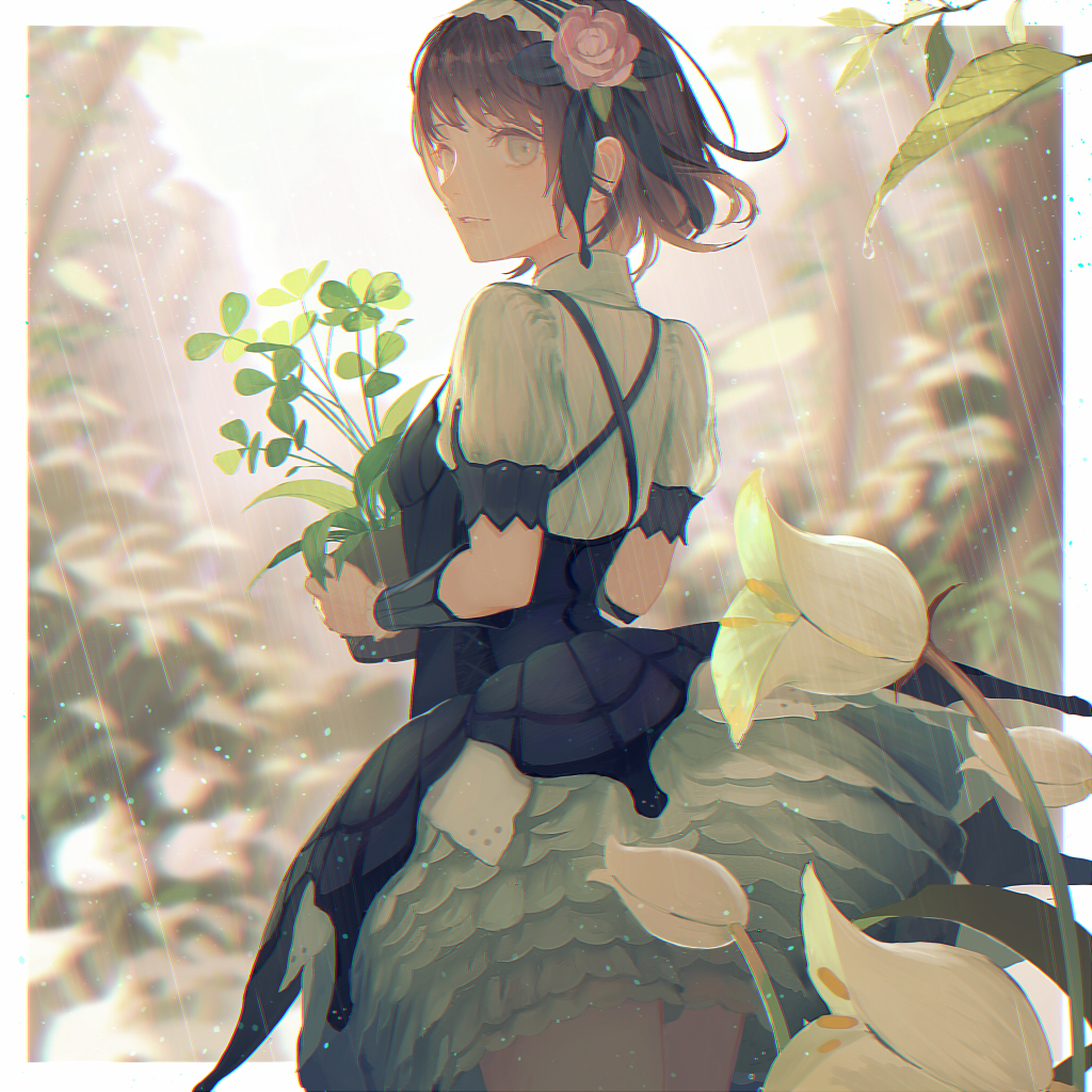 arm_warmers backlighting bangs black_dress black_ribbon bloomers blurry blurry_background bnahabra_(armor) breasts brown_eyes brown_hair cowboy_shot depth_of_field dress echosdoodle flower flower_pot hair_flower hair_ornament hair_ribbon hairband leaf monster_hunter monster_hunter:_world outdoors parted_lips petticoat pink_flower pink_rose plant potted_plant puffy_short_sleeves puffy_sleeves rain ribbon rose rose_hair_ornament shirt short_hair short_sleeves small_breasts smile solo standing tareme two-tone_hairband underwear upskirt water water_drop white_shirt