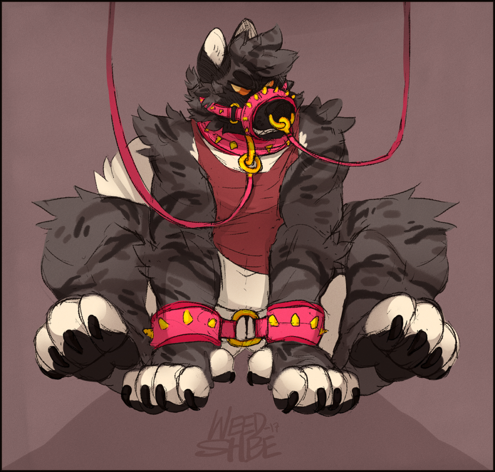 angry anthro bdsm belly bondage bottomless bound canine cappuccino claws clothed clothing collar cuffs_(disambiguation) growling leash male mammal muzzle_(disambiguation) nose_leash paws piercing shirt slightly_chubby spiked_collar spiked_cuffs spiked_muzzle spikes tank_top wolf