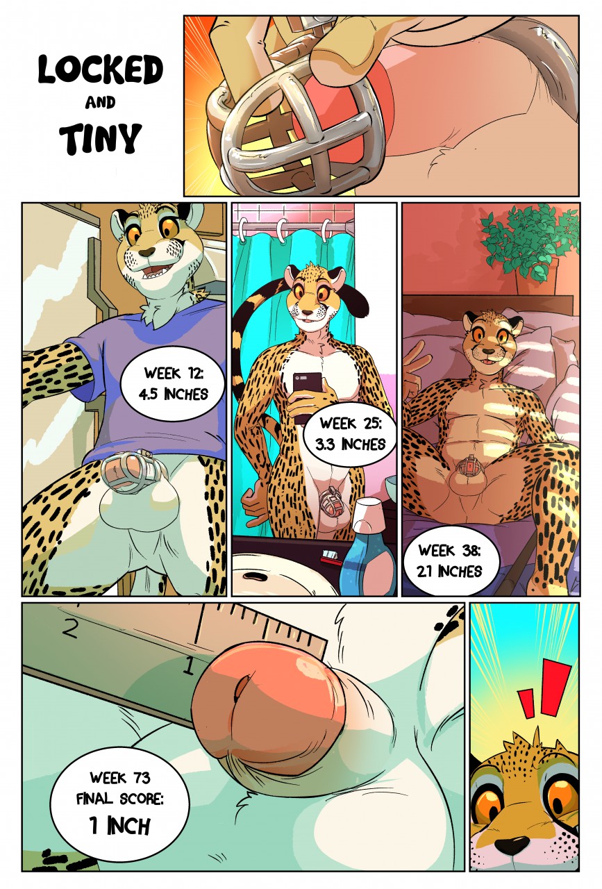 anthro balls chastity chastity_cage cheetah comic daire301 feline male mammal penis penis_shrinking small_penis solo
