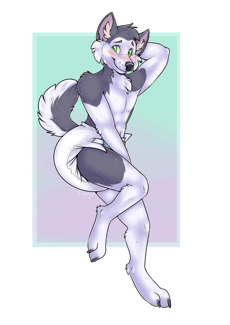 anthro blush canine diaper dog dracky embarrassed husky male mammal solo standing watermark