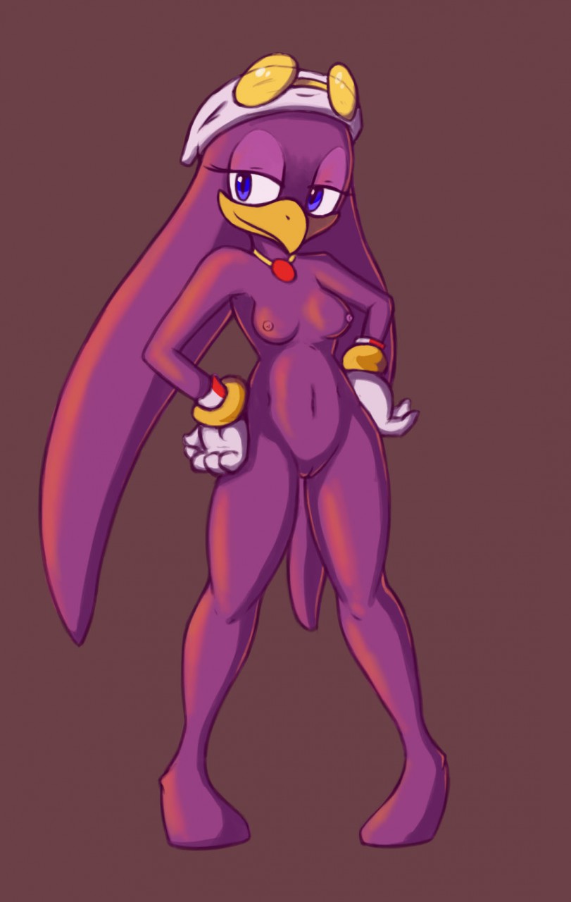 anthro avian bandanna bangle barefoot beak bird breasts brown_background clothing eyewear featureless_feet female front_view full-length_portrait gloves half-closed_eyes hands_on_hip jewelry mostly_nude navel necklace portrait purple_eyes purple_skin pussy qrog simple_background solo sonic_(series) sonic_riders standing swallow_(bird) wave_the_swallow