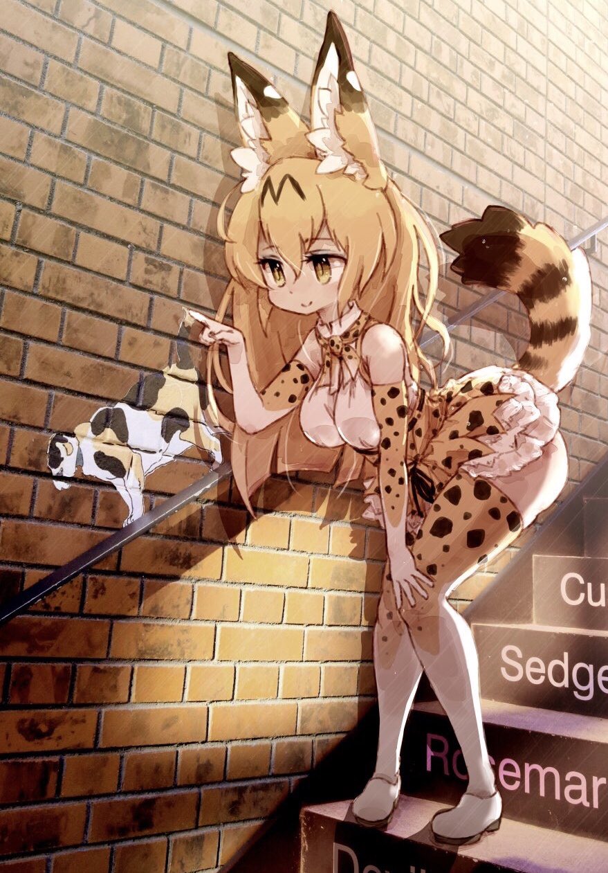 adapted_costume alternate_hair_length alternate_hairstyle animal_ears animal_print bangs bare_shoulders bent_over blonde_hair breasts brick closed_mouth eyebrows eyebrows_visible_through_hair eyelashes full_body gloves hair_between_eyes hand_on_own_knee hand_up high-waist_skirt highres index_finger_raised kemono_friends knees_together_feet_apart kolshica long_hair looking_away medium_breasts miniskirt multicolored multicolored_clothes multicolored_gloves multicolored_legwear multicolored_ribbon neck_ribbon older orange_gloves orange_legwear orange_ribbon orange_skirt ribbon serval_(kemono_friends) serval_ears serval_print serval_tail shadow shirt shoes skirt sleeveless sleeveless_shirt smile solo stairs standing straight_hair striped_tail tail tail_raised thighhighs white_footwear white_gloves white_legwear white_ribbon white_shirt yellow_eyes yellow_pupils zettai_ryouiki
