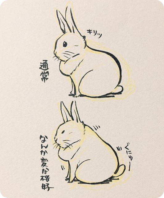 2016 japanese_text lagomorph mammal rabbit simple_background text translation_request 井口病院