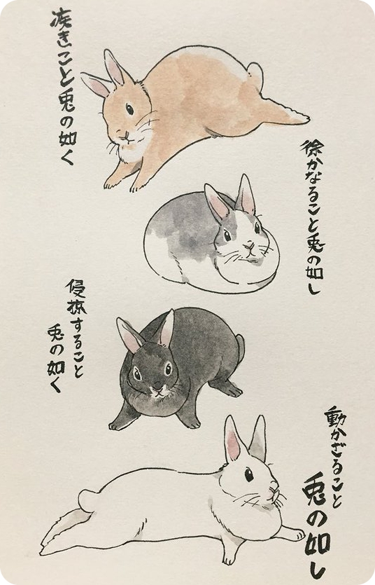 2016 group japanese_text lagomorph mammal rabbit simple_background text translation_request 井口病院