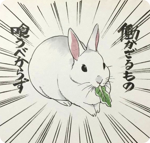 2016 japanese_text lagomorph mammal rabbit solo text translation_request 井口病院