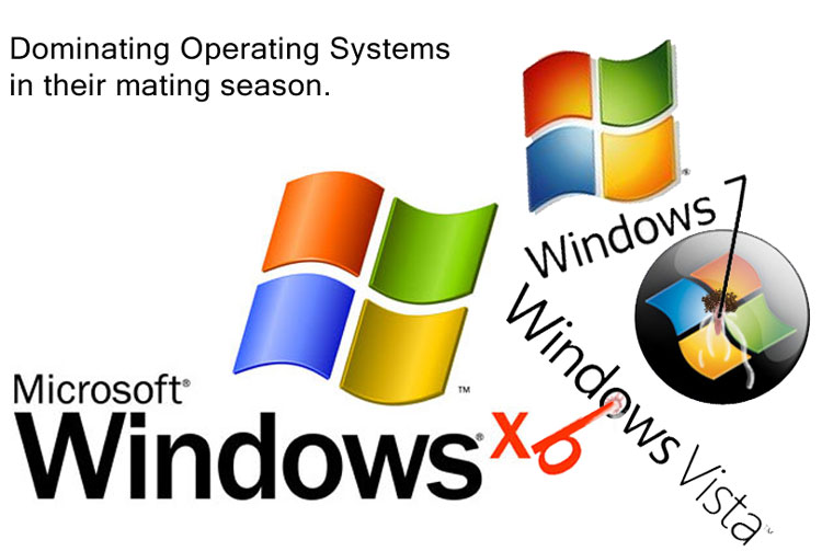 logo tagme windows