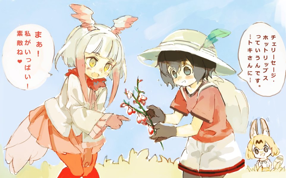 animal_ears backpack bag bangs bird_tail bird_wings black_hair blonde_hair bow bowtie commentary_request elbow_gloves feathers flower frilled_sleeves frills fur_collar gloves hat head_wings helmet japanese_crested_ibis_(kemono_friends) kaban_(kemono_friends) kemono_friends konabetate long_sleeves multicolored_hair multiple_girls neck_ribbon pantyhose pith_helmet pleated_skirt red_hair ribbon serval_(kemono_friends) serval_ears serval_print serval_tail shirt short_hair short_sleeves shorts sidelocks skirt sleeveless t-shirt tail translation_request white_hair wings