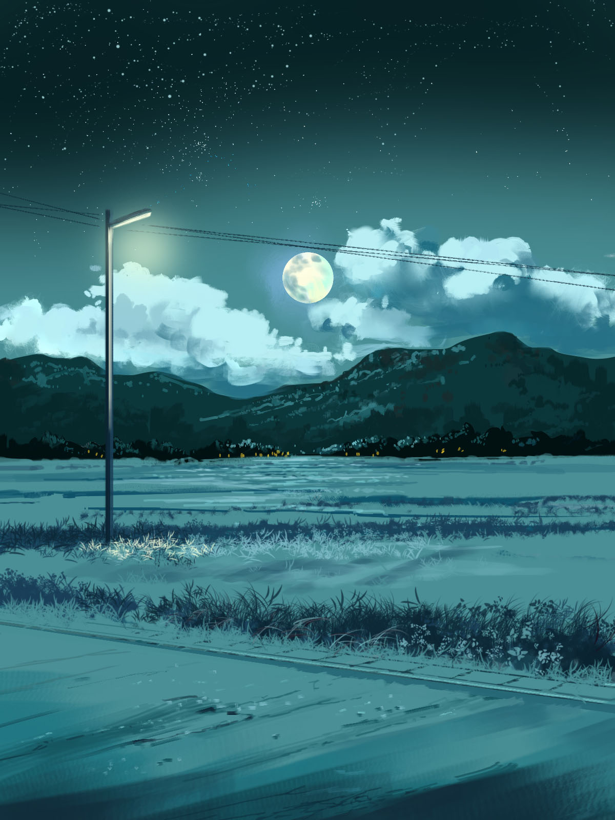 cloud commentary full_moon highres lamppost moon mountain mountainous_horizon night night_sky no_humans original outdoors power_lines rice_paddy scenery sky star_(sky) starry_sky