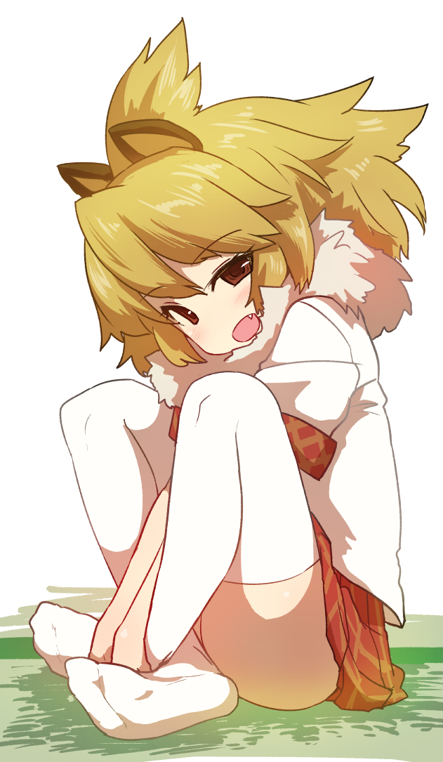animal_ears bangs between_legs blonde_hair blush brown_eyes checkered checkered_skirt eyebrows_visible_through_hair fang full_body hand_between_legs kemono_friends lion_(kemono_friends) lion_ears looking_at_viewer looking_to_the_side medium_hair no_shoes on_floor open_mouth pleated_skirt raised_eyebrows red_skirt shirt short_sleeves simple_background sitting skirt solo sumiyao_(amam) thighhighs white_background white_legwear white_shirt