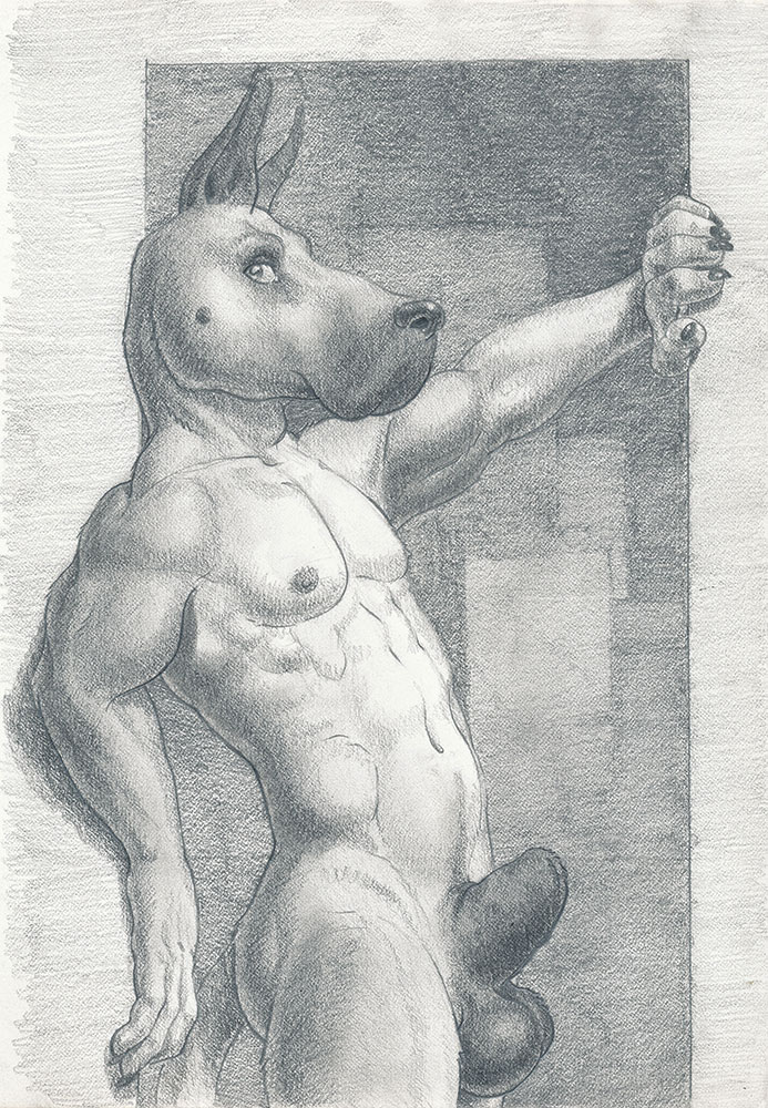 animal_genitalia arjuna balls canine dog great_dane greyscale looking_at_viewer male mammal monochrome nude sheath solo standing