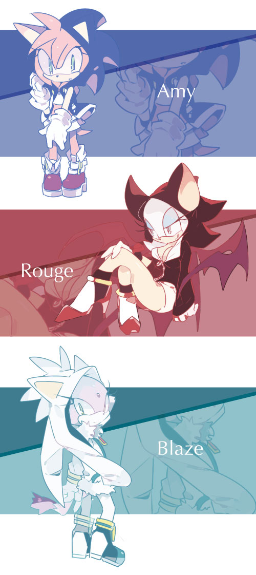 2018 amy_rose anthro bat blaze_the_cat costume english_text feline female hedgehog mammal rouge_the_bat sonic_(series) text video_games wings バタスコ
