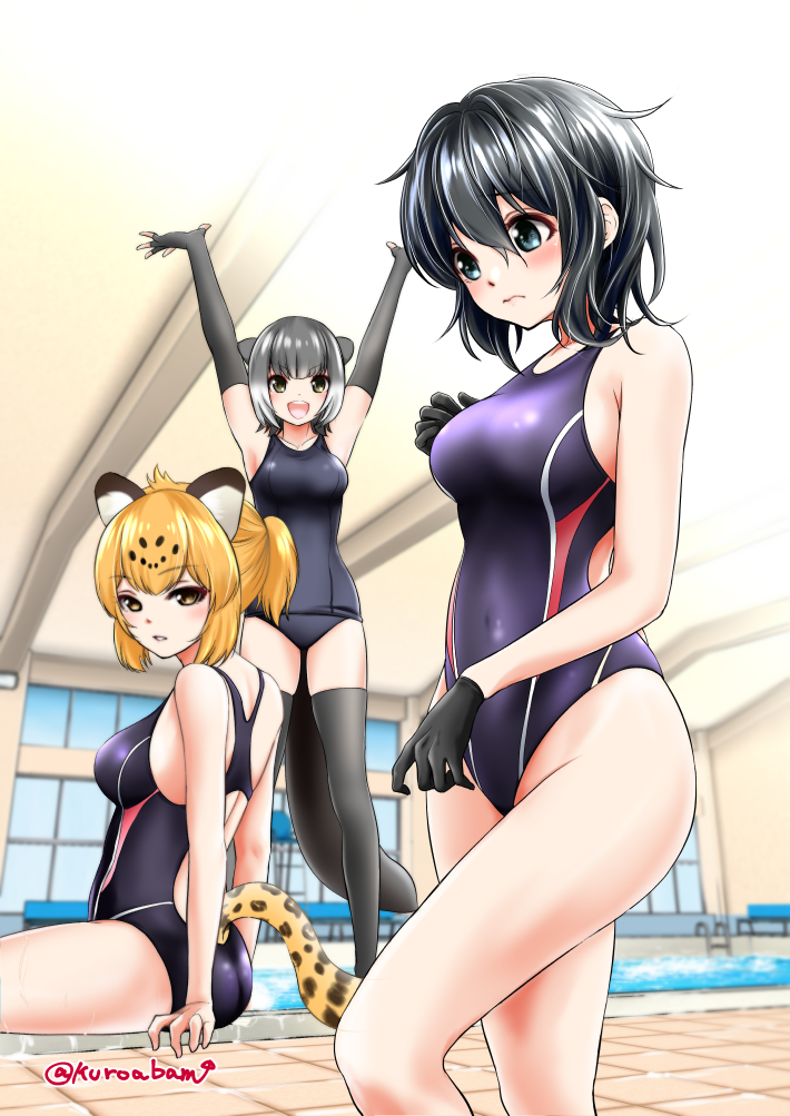3girls :d \o/ animal_ears arms_up ass black_eyes black_gloves black_hair black_legwear black_swimsuit brown_eyes competition_swimsuit cowboy_shot elbow_gloves gloves indoors jaguar_(kemono_friends) jaguar_ears jaguar_tail kaban_(kemono_friends) kemono_friends kuroba_dam looking_at_viewer multiple_girls one-piece_swimsuit open_mouth otter_ears otter_tail outstretched_arms ponytail pool school_swimsuit short_hair sitting small-clawed_otter_(kemono_friends) smile standing swimsuit tail twitter_username wavy_hair
