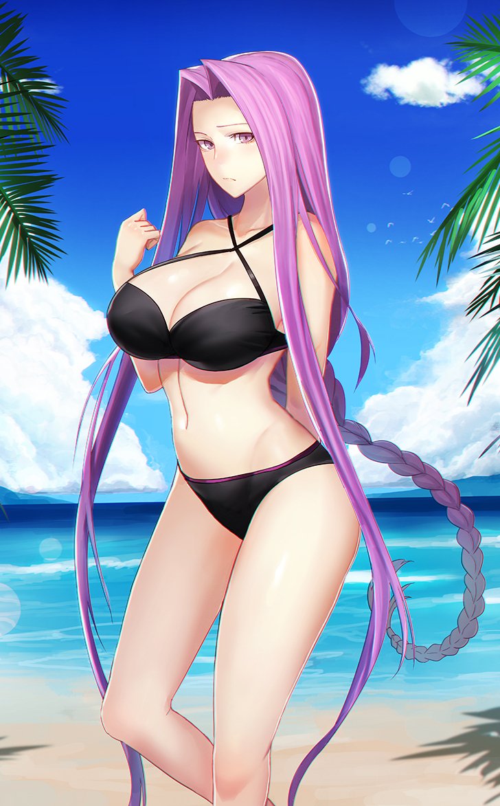 arm_behind_back bangs bare_shoulders beach bikini black_bikini blue_sky braid breasts cleavage closed_mouth collarbone commentary_request criss-cross_halter day fate/stay_night fate_(series) hair_intakes halterneck hand_up hips large_breasts long_hair looking_at_viewer minami_koyogi navel ocean palm_tree parted_bangs purple_eyes purple_hair rider sidelocks single_braid sky solo swimsuit thighs tree very_long_hair