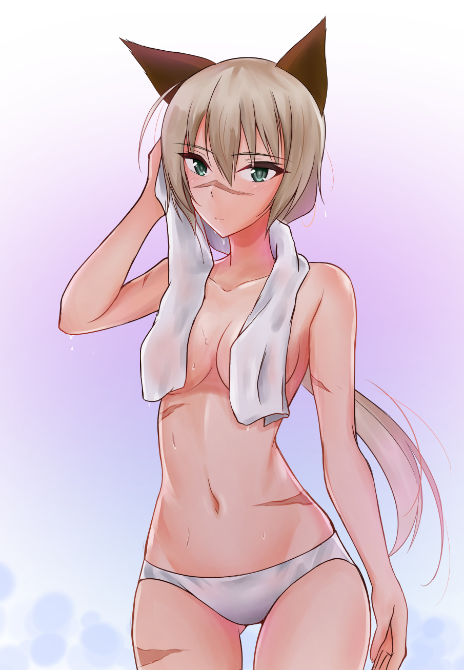 animal_ears arm_at_side ass_visible_through_thighs blonde_hair breasts drying drying_hair facial_scar gradient gradient_background green_eyes groin hair_between_eyes hanna_rudel highres long_hair medium_breasts navel nose_scar panties phoompusiri scar solo strike_witches thighs towel towel_around_neck underwear wet white_panties world_witches_series
