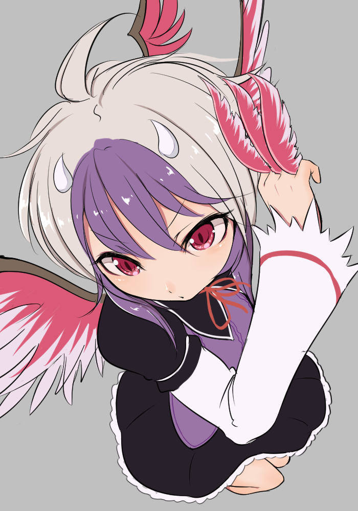 ahoge between_fingers black_dress blush chestnut_mouth dress eyebrows_visible_through_hair eyelashes feathered_wings feathers fighting_stance foreshortening from_above grey_background head_wings long_sleeves looking_down marsen multicolored multicolored_hair multicolored_wings purple_hair red_eyes red_wings short_hair silver_hair simple_background single_head_wing solo tokiko_(touhou) touhou two-tone_hair v-shaped_eyebrows wide_sleeves wings