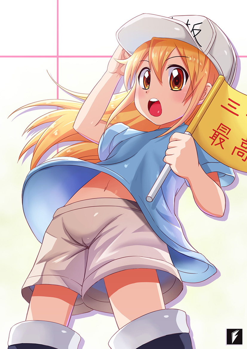 1girl brown_eyes brown_hair cameltoe child despair_wing eyebrows_visible_through_hair female flag from_below hat hataraku_saibou holding holding_flag long_hair looking_at_viewer looking_down navel open_mouth platelet_(hataraku_saibou) shirt shirt_lift shorts solo white_hat