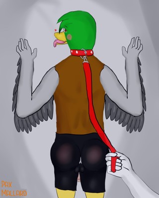 avian bdsm beak better_version_at_source bird bondage bound butt cum cum_in_ass cum_inside cum_leaking duck leash mallard paxmallard penis sex