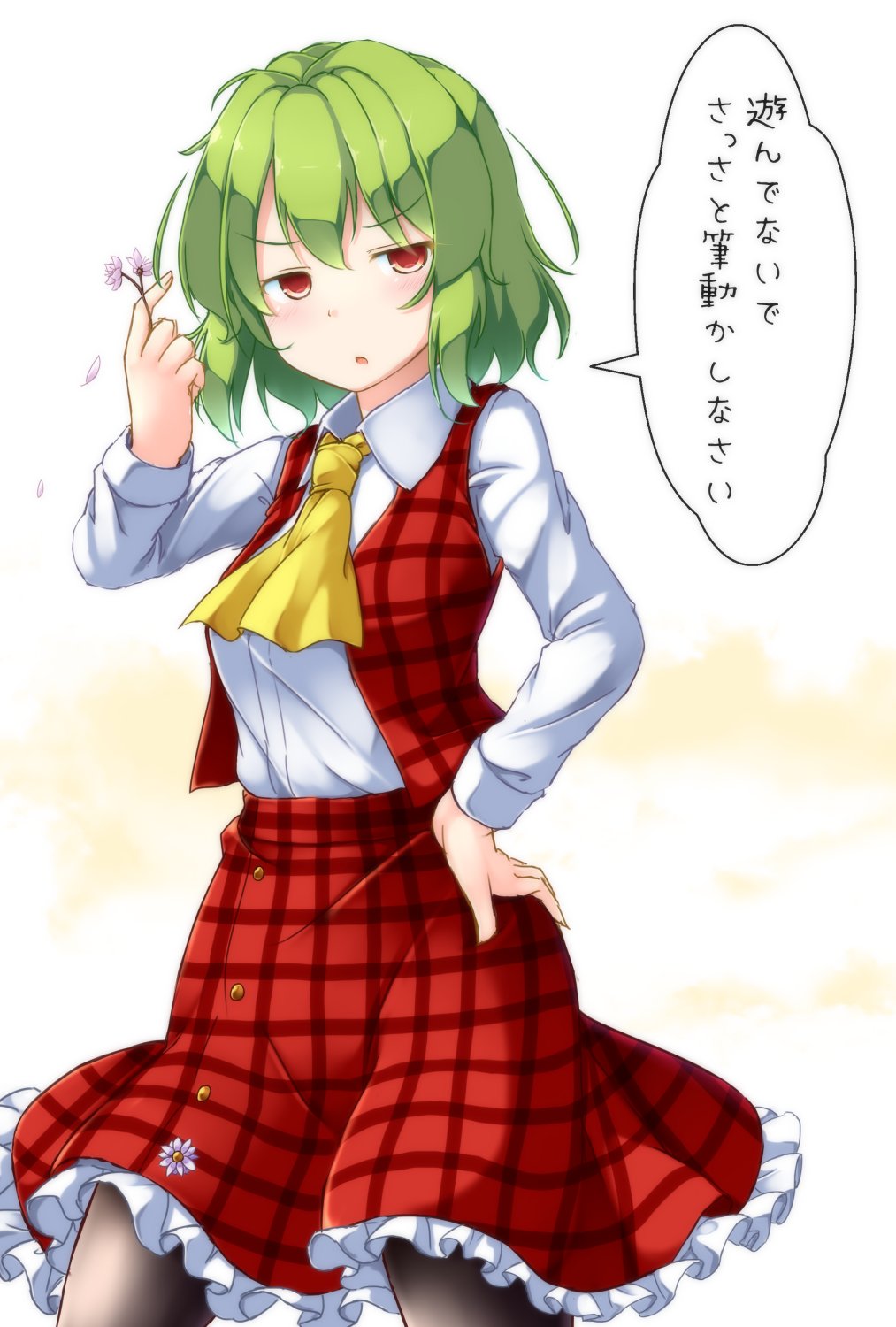 aka_tawashi ascot black_legwear blush breasts commentary cowboy_shot eyebrows_visible_through_hair flower green_hair hair_between_eyes hand_on_hip hand_up highres holding holding_flower kazami_yuuka long_sleeves looking_at_viewer medium_breasts pantyhose parted_lips petals petticoat plaid plaid_skirt plaid_vest purple_flower red_eyes red_skirt red_vest shirt short_hair skirt solo speech_bubble standing touhou translation_request vest white_background white_shirt wing_collar yellow_neckwear