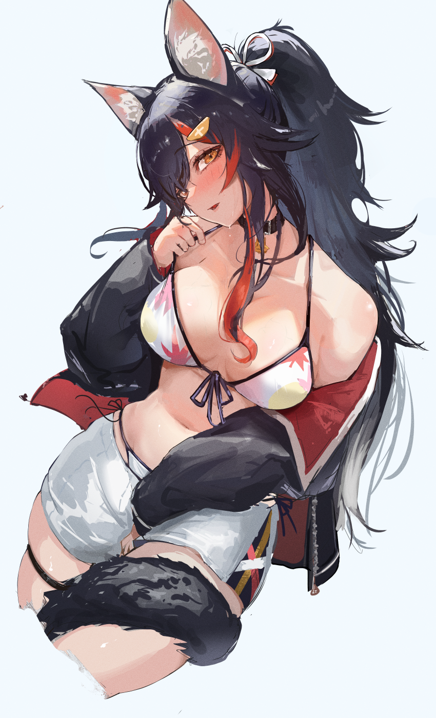 1girl alternate_costume animal_ear_fluff animal_ears bikini bikini_under_shorts black_hair black_jacket blush breasts choker cropped_legs front-tie_bikini_top front-tie_top hair_ornament hairclip highres hololive jacket long_hair looking_at_viewer menomeno_draw multicolored_hair off_shoulder official_alternate_costume ookami_mio ookami_mio_(hololive_summer_2019) open_clothes open_jacket red_hair shorts side-tie_bikini_bottom sidelocks simple_background solo strap_lift streaked_hair swimsuit tail tail_around_own_leg tail_wrap two-tone_hair virtual_youtuber white_shorts wolf_ears wolf_girl wolf_tail yellow_eyes