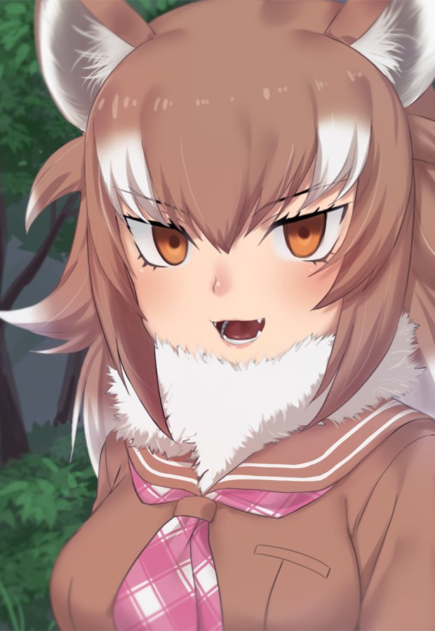 :d animal_ears bangs brown_hair brown_sailor_collar commentary empty_eyes eyebrows_visible_through_hair fangs fur_collar gradient_hair hair_between_eyes japanese_wolf_(kemono_friends) kemono_friends long_hair looking_at_viewer multicolored_hair neckerchief nyifu open_mouth orange_eyes pink_neckwear plaid_neckwear sailor_collar school_uniform serafuku smile solo teeth tree tsurime two-tone_hair white_hair wolf_ears