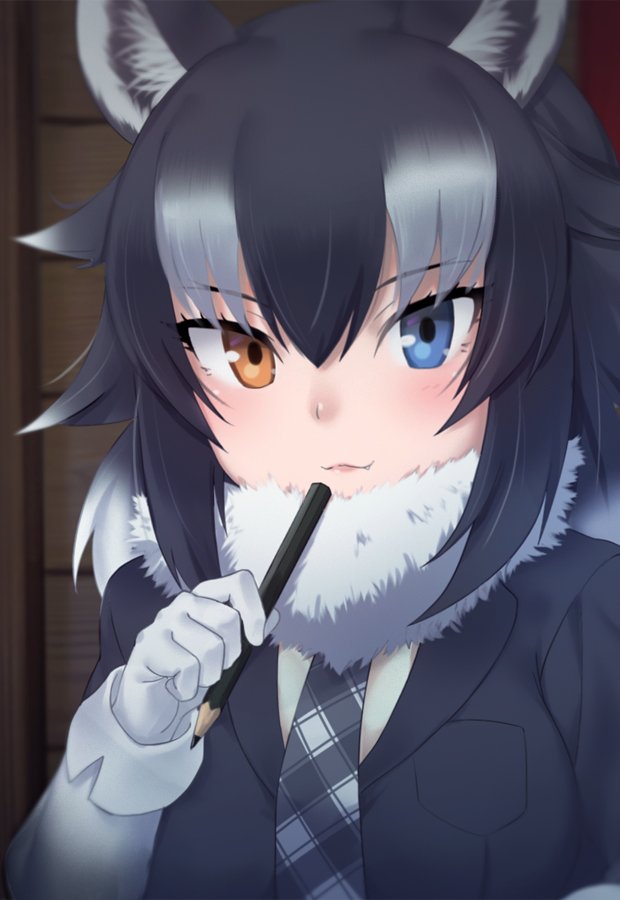 :3 animal_ears bangs black_hair blue_eyes closed_mouth commentary eyebrows_visible_through_hair fang fang_out fur_collar gloves gradient_hair grey_wolf_(kemono_friends) hair_between_eyes heterochromia holding holding_pencil kemono_friends long_hair looking_at_viewer multicolored_hair nyifu orange_eyes pencil plaid_neckwear silver_hair solo tsurime upper_body white_gloves white_hair wolf_ears