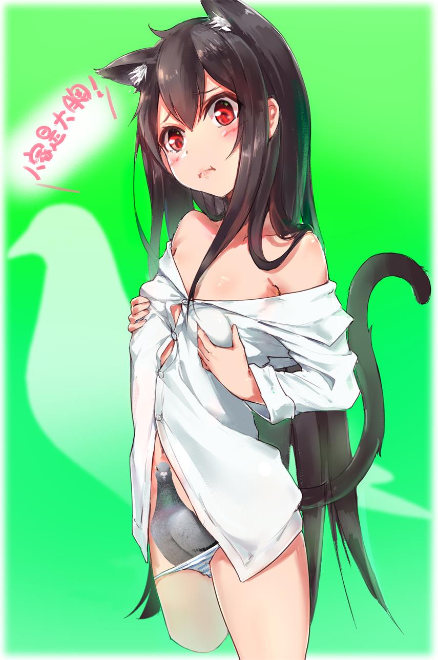 :i animal_ears bangs blush breasts brown_hair cat_ears cat_girl cat_tail censored closed_mouth collarbone commentary_request copyright_request cropped_legs dress_shirt eyebrows_visible_through_hair green_background hair_between_eyes head_tilt highres long_hair navel novelty_censor off_shoulder panties panty_pull red_eyes self_fondle shirt small_breasts solo striped striped_panties tail tail_raised translation_request underwear very_long_hair white_shirt xiaoyu