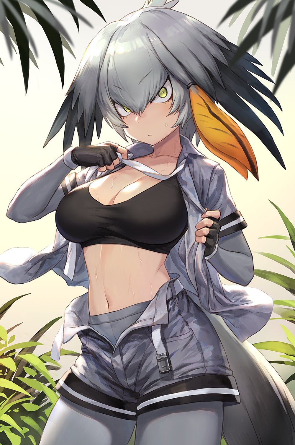 ahoge bangs belt black_bra black_gloves black_hair bra breasts camouflage camouflage_shirt camouflage_shorts cleavage closed_mouth collared_shirt commentary contrapposto cowboy_shot day detached_sleeves eyebrows_visible_through_hair fingerless_gloves gloves green_eyes grey_hair grey_legwear grey_neckwear grey_shirt grey_shorts guchico hair_between_eyes hairband hands_up highres kemono_friends long_hair long_sleeves looking_at_viewer low_ponytail medium_breasts multicolored_hair navel necktie necktie_grab neckwear_grab open_clothes open_fly open_shirt open_shorts orange_hair pantyhose shirt shoebill_(kemono_friends) short_over_long_sleeves short_sleeves shorts side_ponytail solo sports_bra standing stomach sweat sweatdrop tail_feathers underwear undone_belt undone_necktie undressing wide-eyed wings
