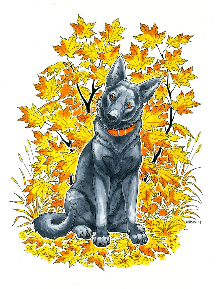 2016 anisis black_fur canine collar digital_media_(artwork) dog fur looking_at_viewer mammal orange_eyes paws traditional_media_(artwork)