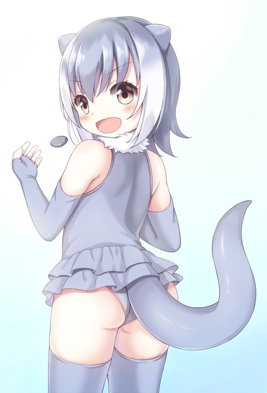 :d animal_ears ass blue_background blush commentary_request cowboy_shot elbow_gloves eyebrows_visible_through_hair fingerless_gloves from_behind fur_collar gloves gradient gradient_background gradient_hair grey_gloves grey_hair grey_legwear grey_shirt grey_swimsuit juggling kemono_friends looking_at_viewer looking_back matsuu_(akiomoi) miniskirt multicolored_hair open_mouth otter_ears otter_tail shirt skirt sleeveless sleeveless_shirt small-clawed_otter_(kemono_friends) smile solo stone swimsuit tail thighhighs white_background white_hair