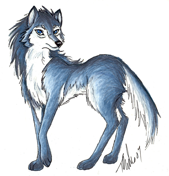 2007 ambiguous_gender blue_eyes canine mammal metalpandora simple_background traditional_media_(artwork) white_background wolf